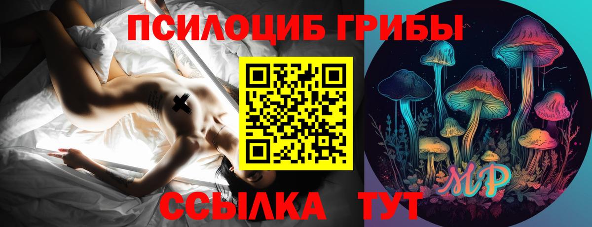 Псилоцибиновые грибы ЛСД Свободный