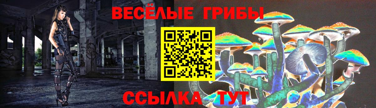 Галлюциногенные грибы Magic Shrooms  Галлюциногенные грибы Magic Shrooms  Свободный  Вход с VPN 